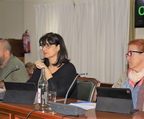 Leticia Padilla, Leandro Delgado y Esther Gómez en el plenario del Ayuntamiento de Arrecife
